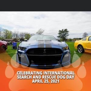 Meet your Posher, Anne